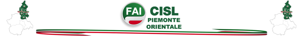 Sito Fai Cisl Piemonte Orientale